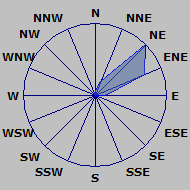 Wind Rose